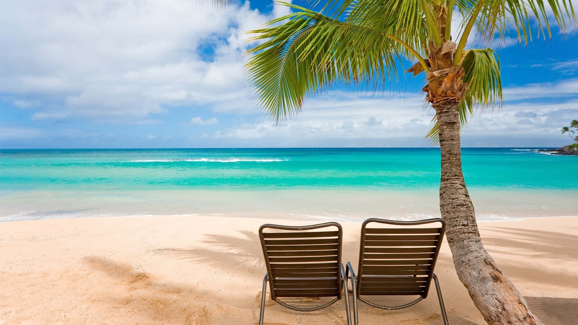 Two Chairs On A Beach Under A Palm Tree