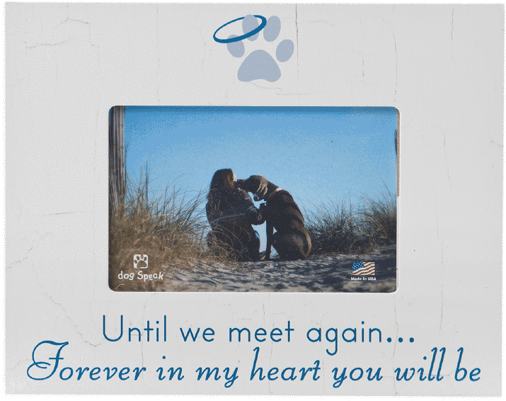 Beachside_ Memory_with_ Dog PNG