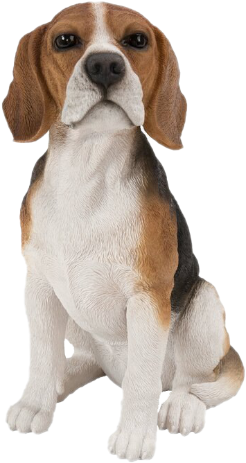 Beagle Dog Sitting Transparent Background PNG