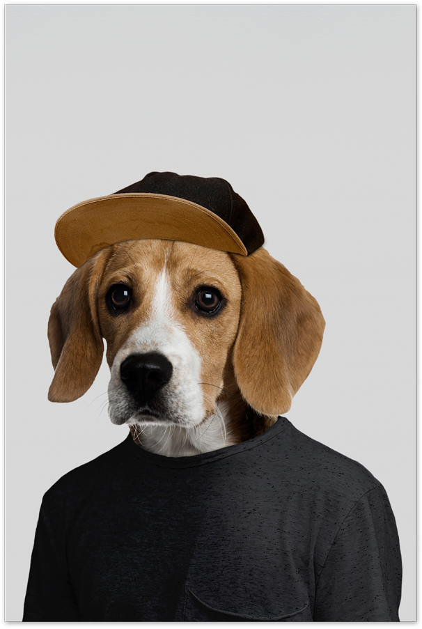 Beaglein Capand Sweater PNG