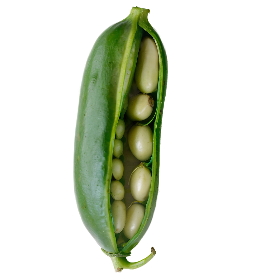 Download Bean Pod Open Png Kvb11 