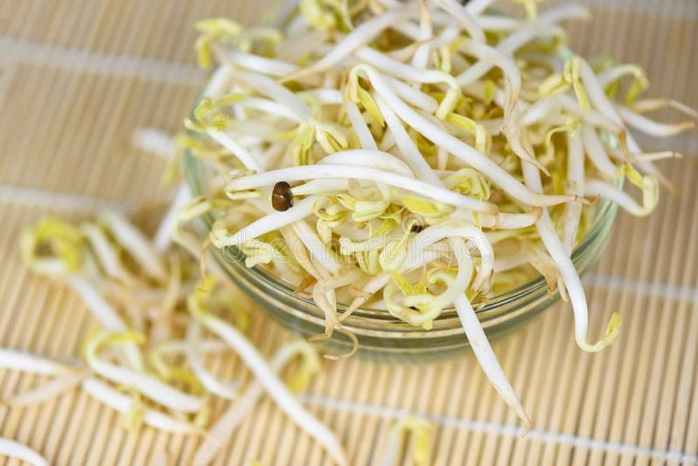Bean Sprouts Vegetable On Glass Cup Background