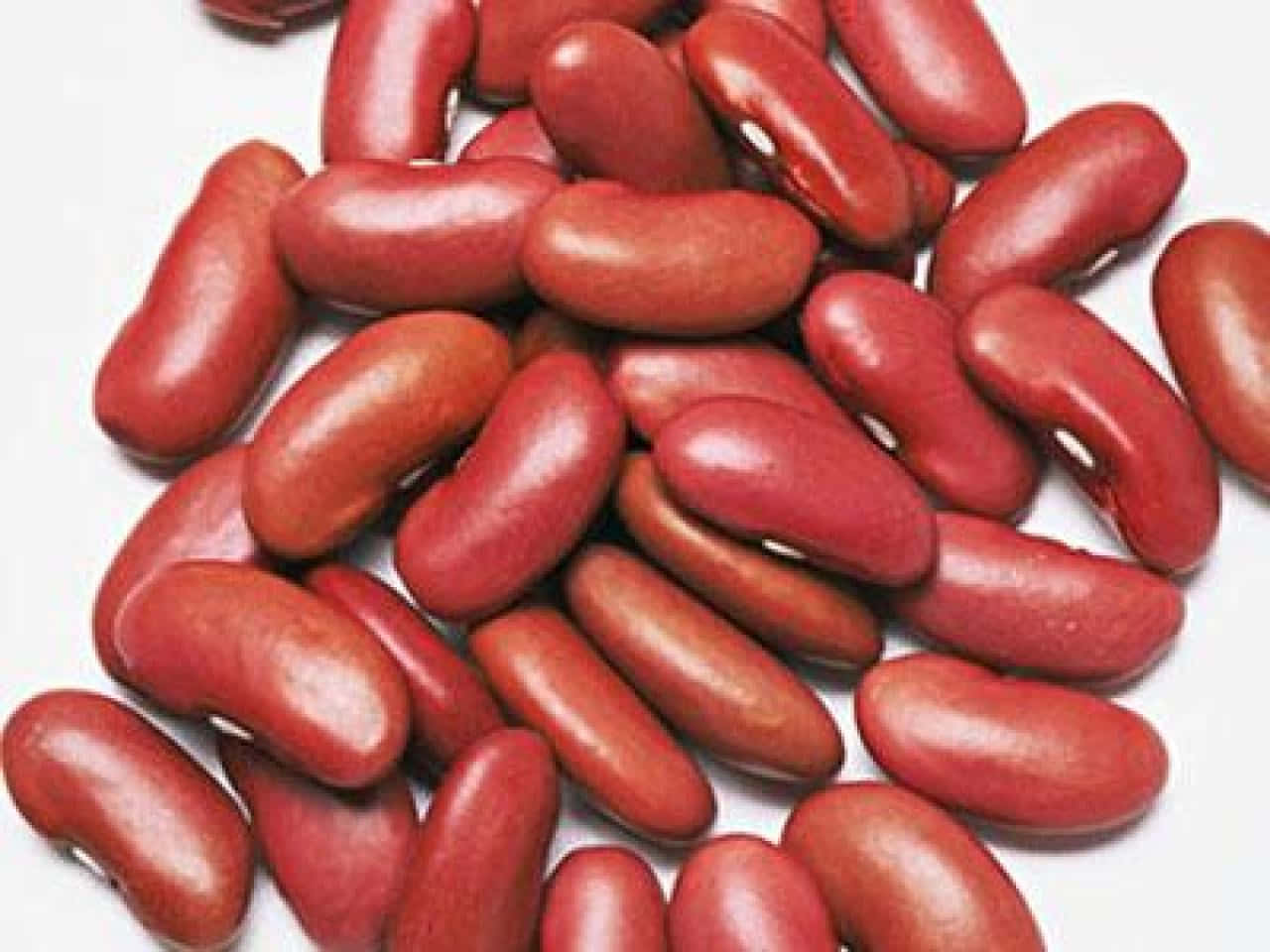 Explore the Different Flavors of Beans