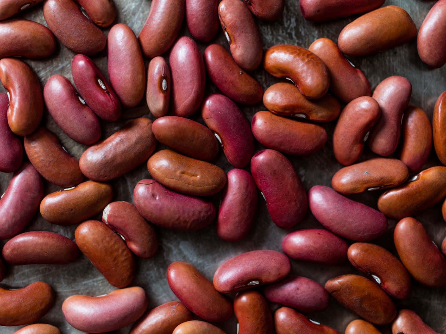 "Up-close shot of healthy, luscious beans"