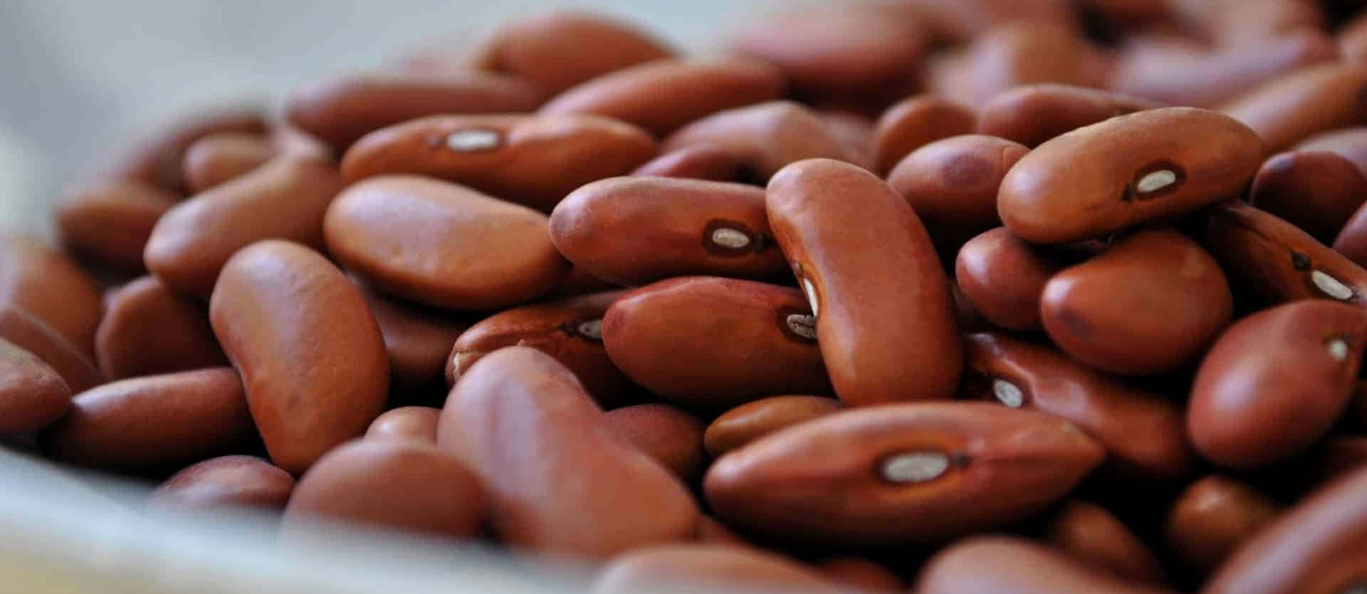 Beans for Breakfast