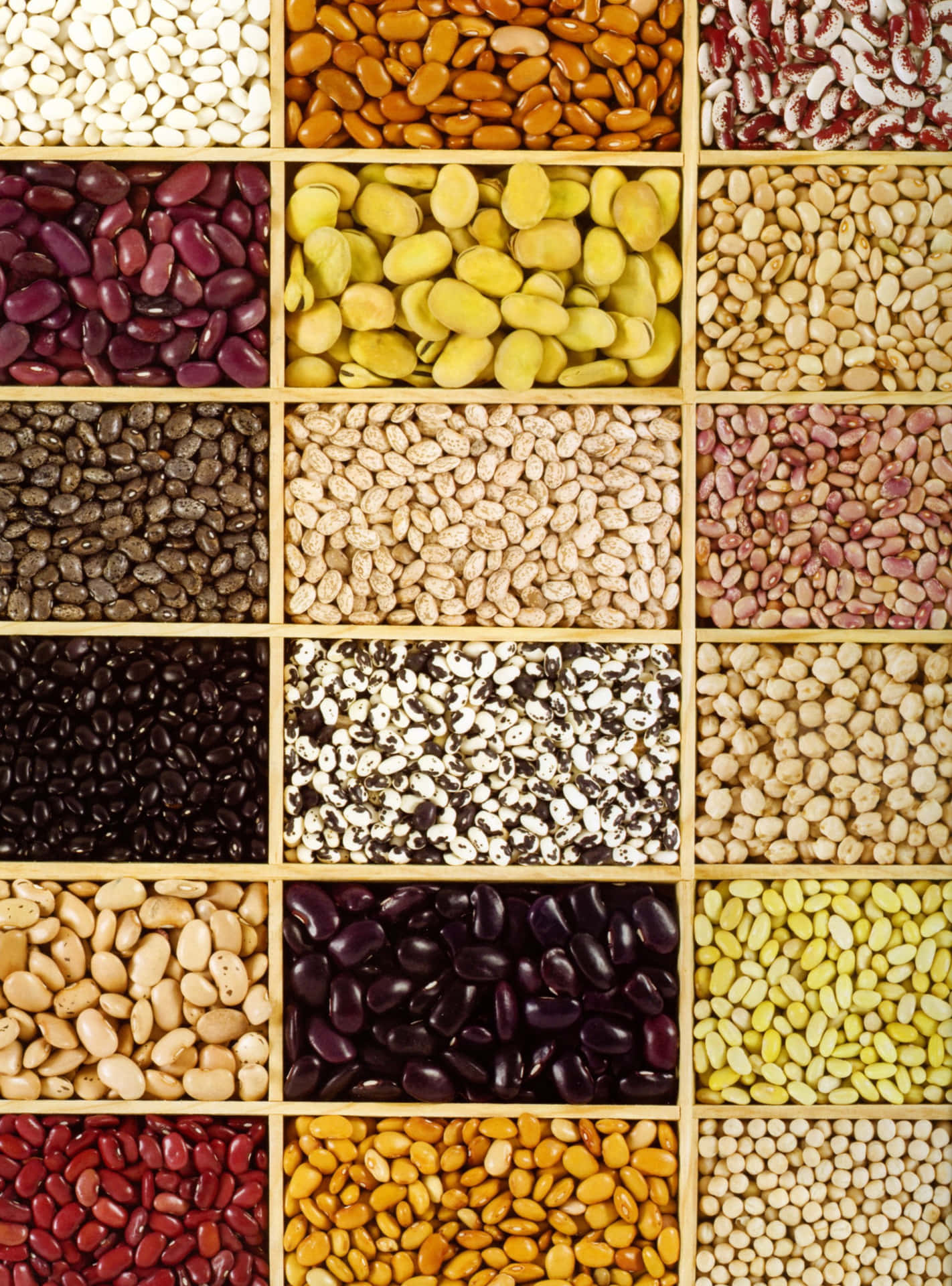 A Hearty Collection of Various Beans