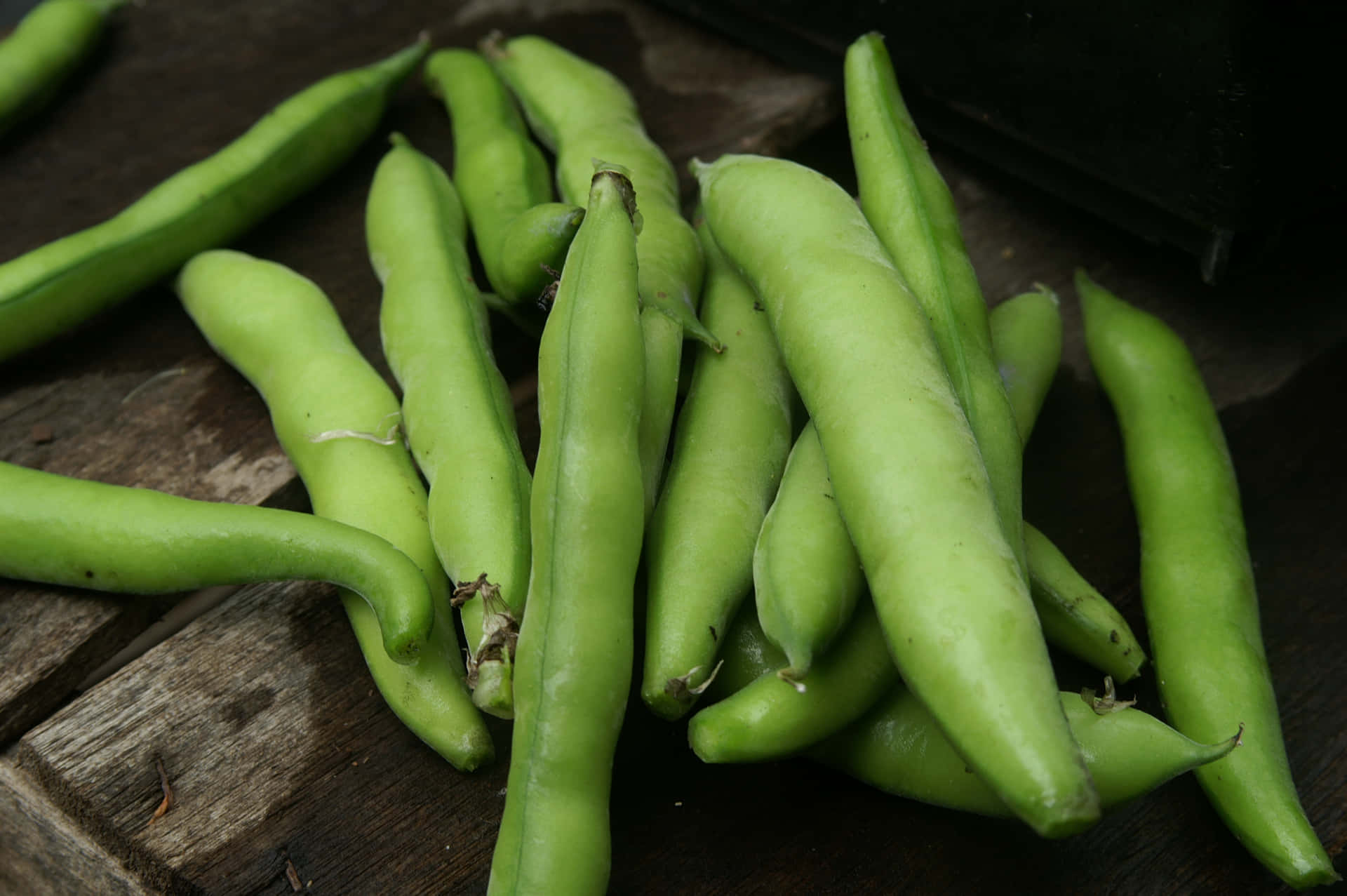 An array of different beans bursting with nutrition and flavor.