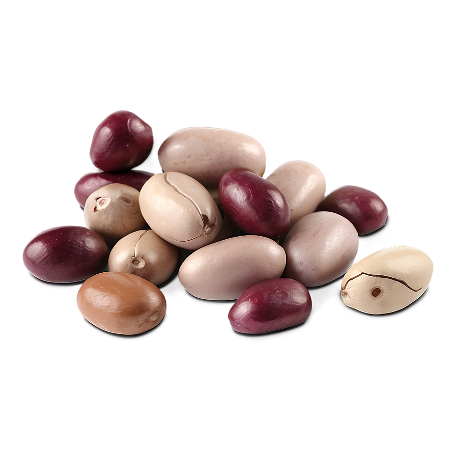 Beans Animation Png Qvs11 PNG