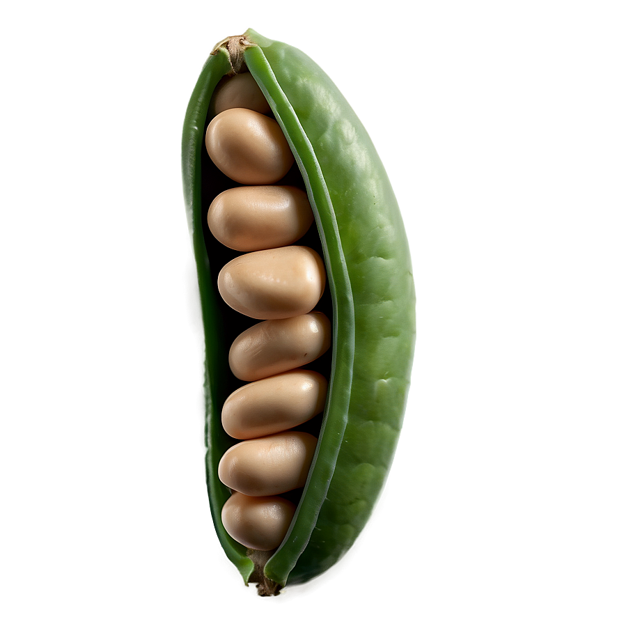 Download Beans Pod Png 05242024 | Wallpapers.com