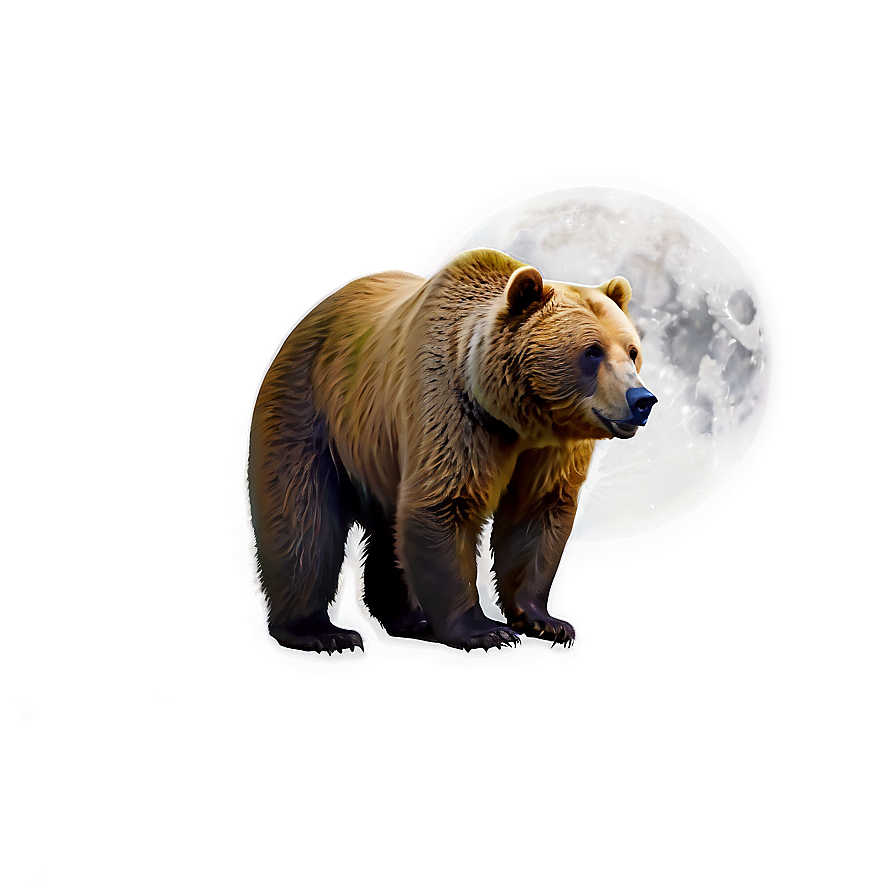 Bear And Moon Png Wxi36 PNG
