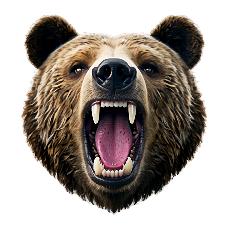 Bear Face Emoji Png 05032024 PNG