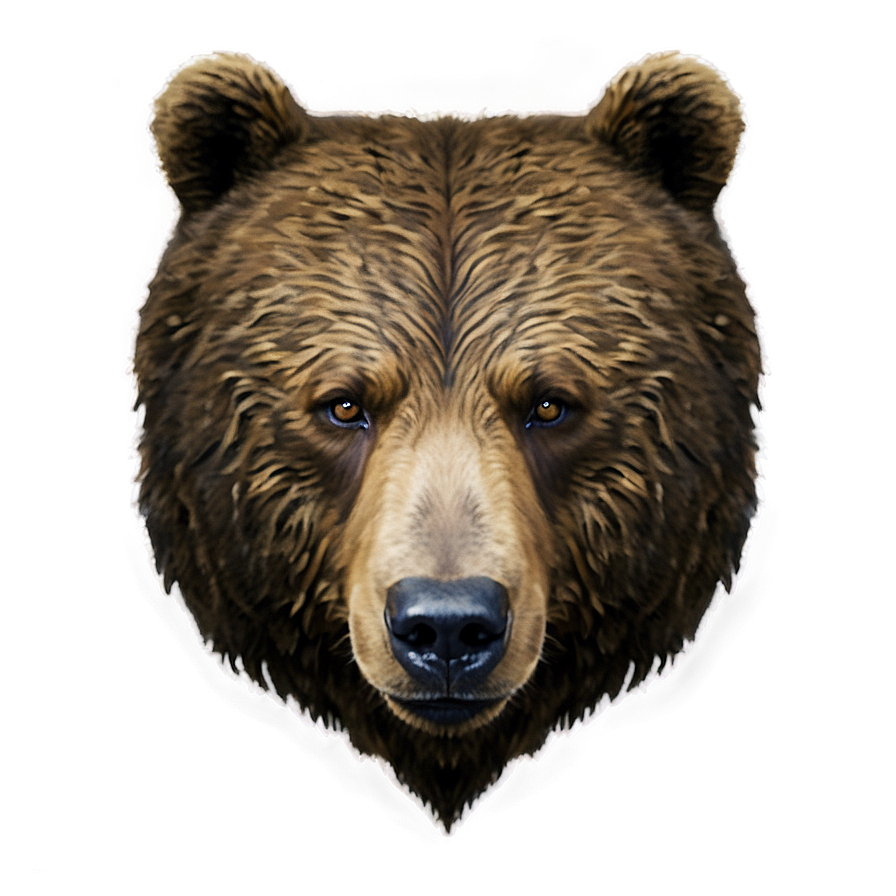 Download Bear Face Png Mjg26 | Wallpapers.com