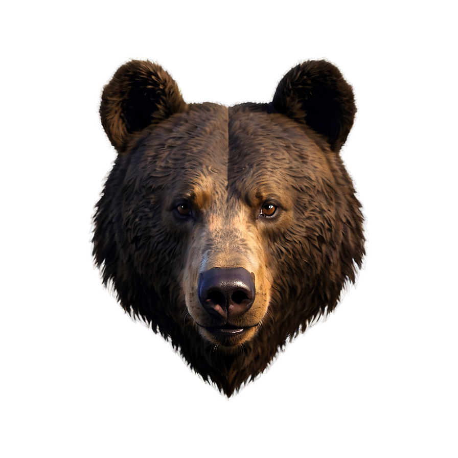 Bear Head Png 06112024 PNG