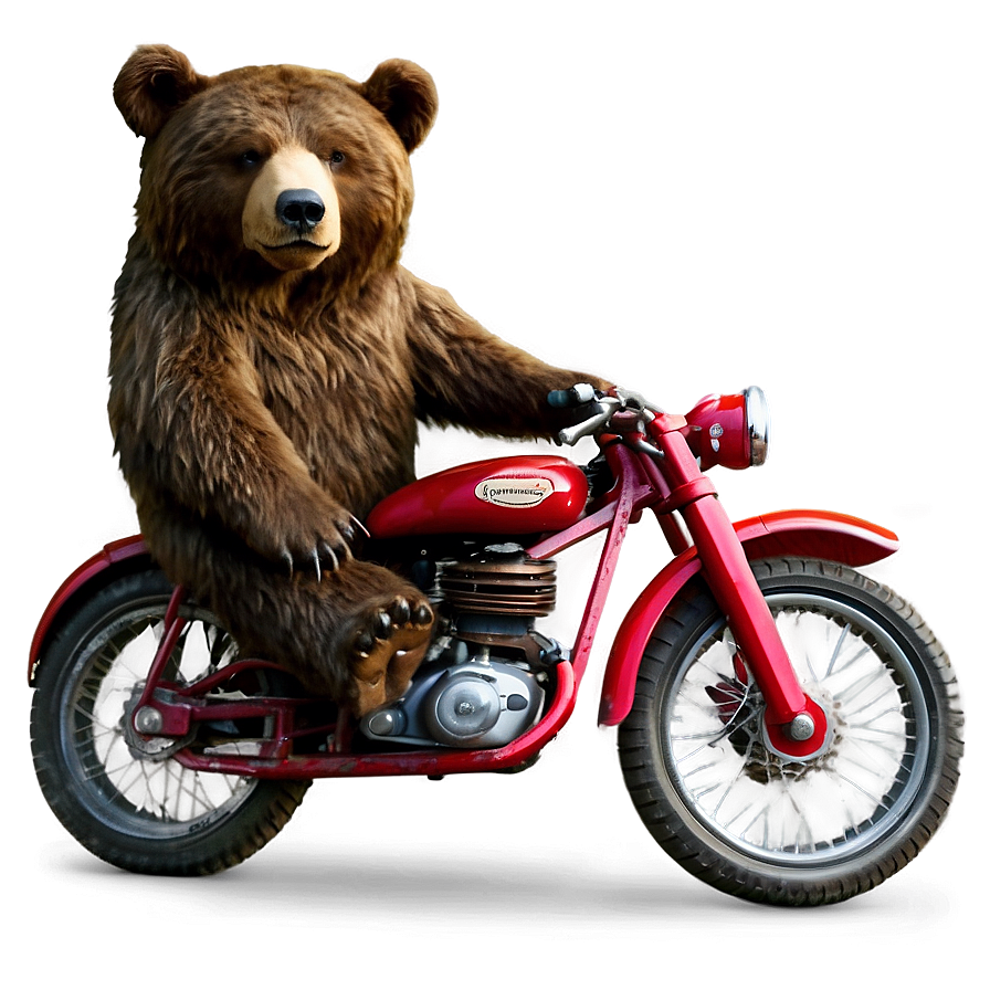 Bear On Bike Png Qmc86 PNG