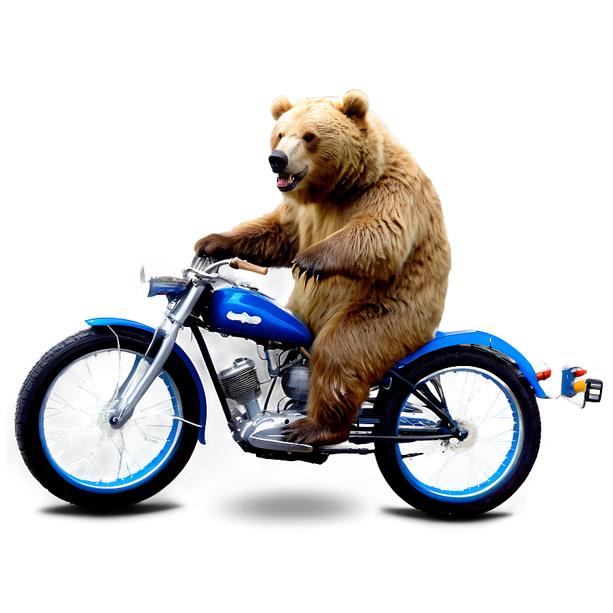 Bear On Bike Png Tue11 PNG