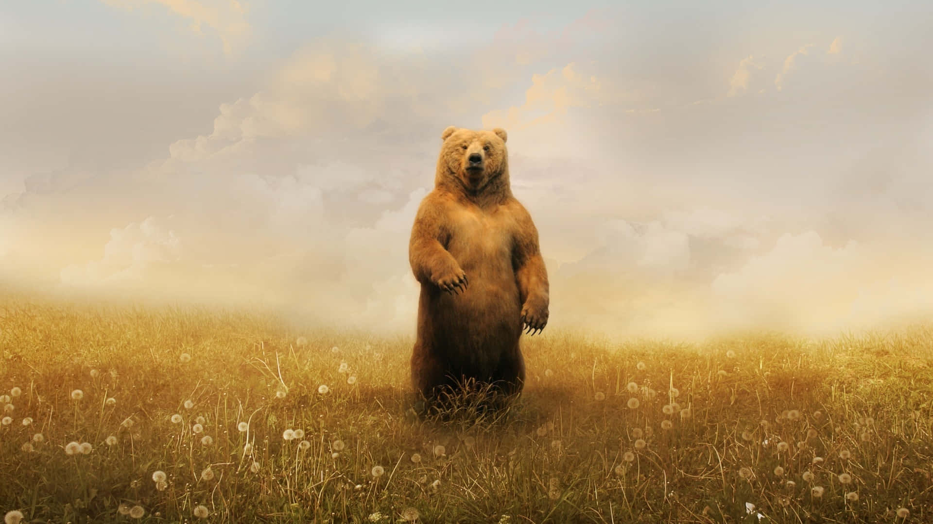 "A Brown Bear Enjoying a Beautiful Summer Day"