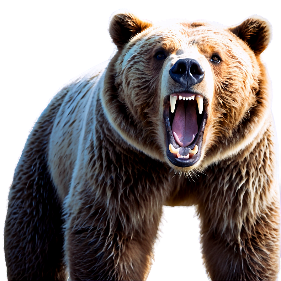 Bear Roaring Png Nmd5 PNG