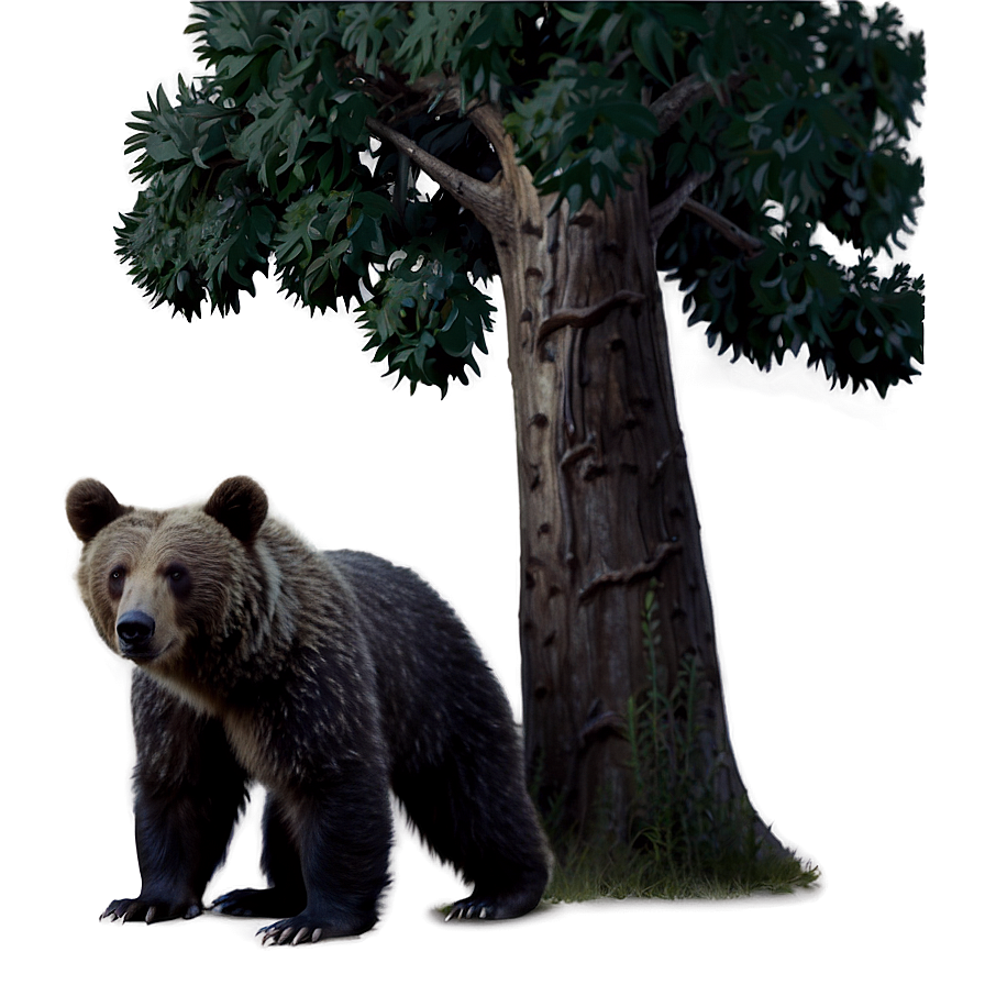 Bear Under Tree Png 05032024 PNG