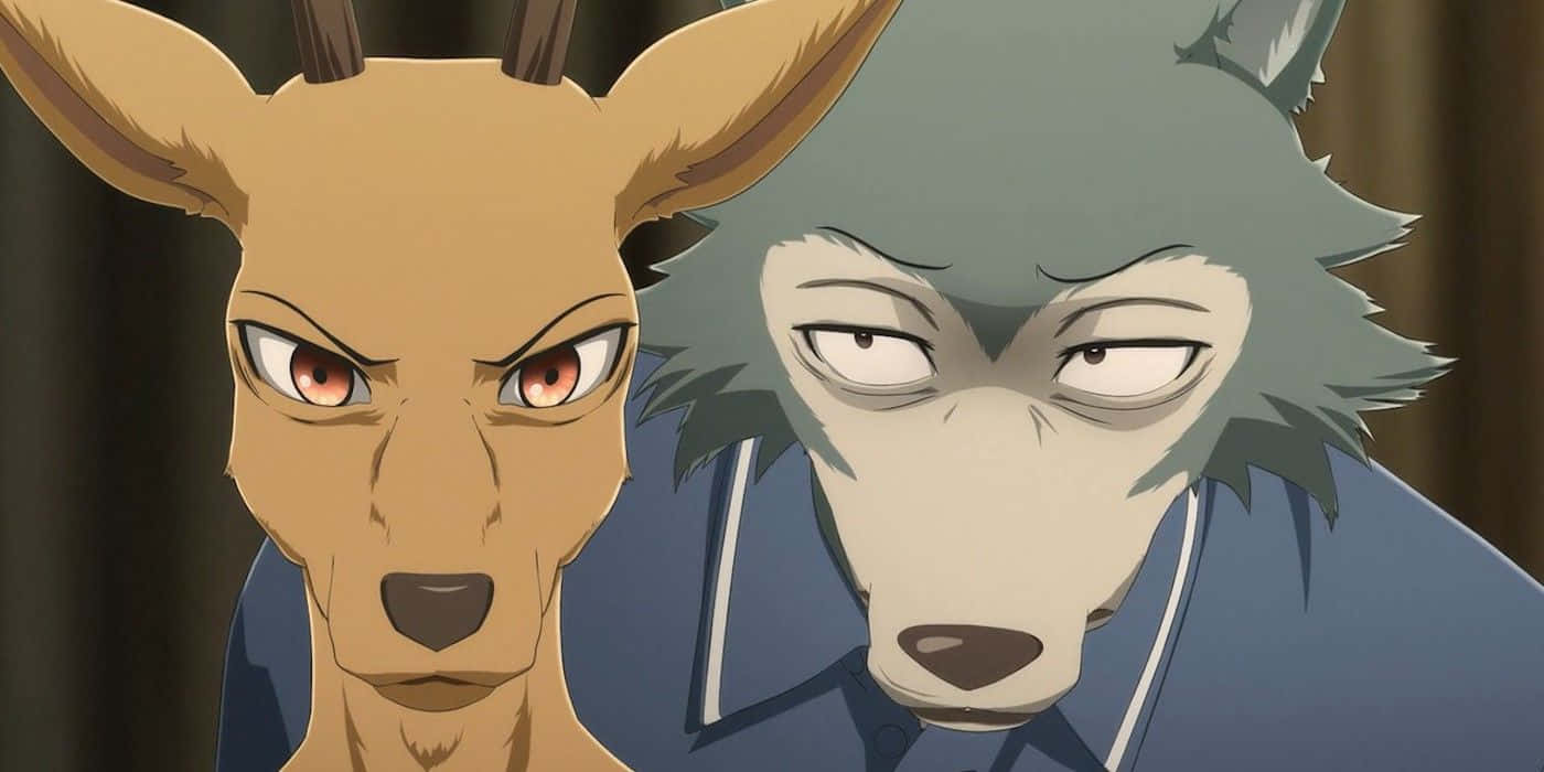 Beastars Anthropomorfe Confrontatie Achtergrond