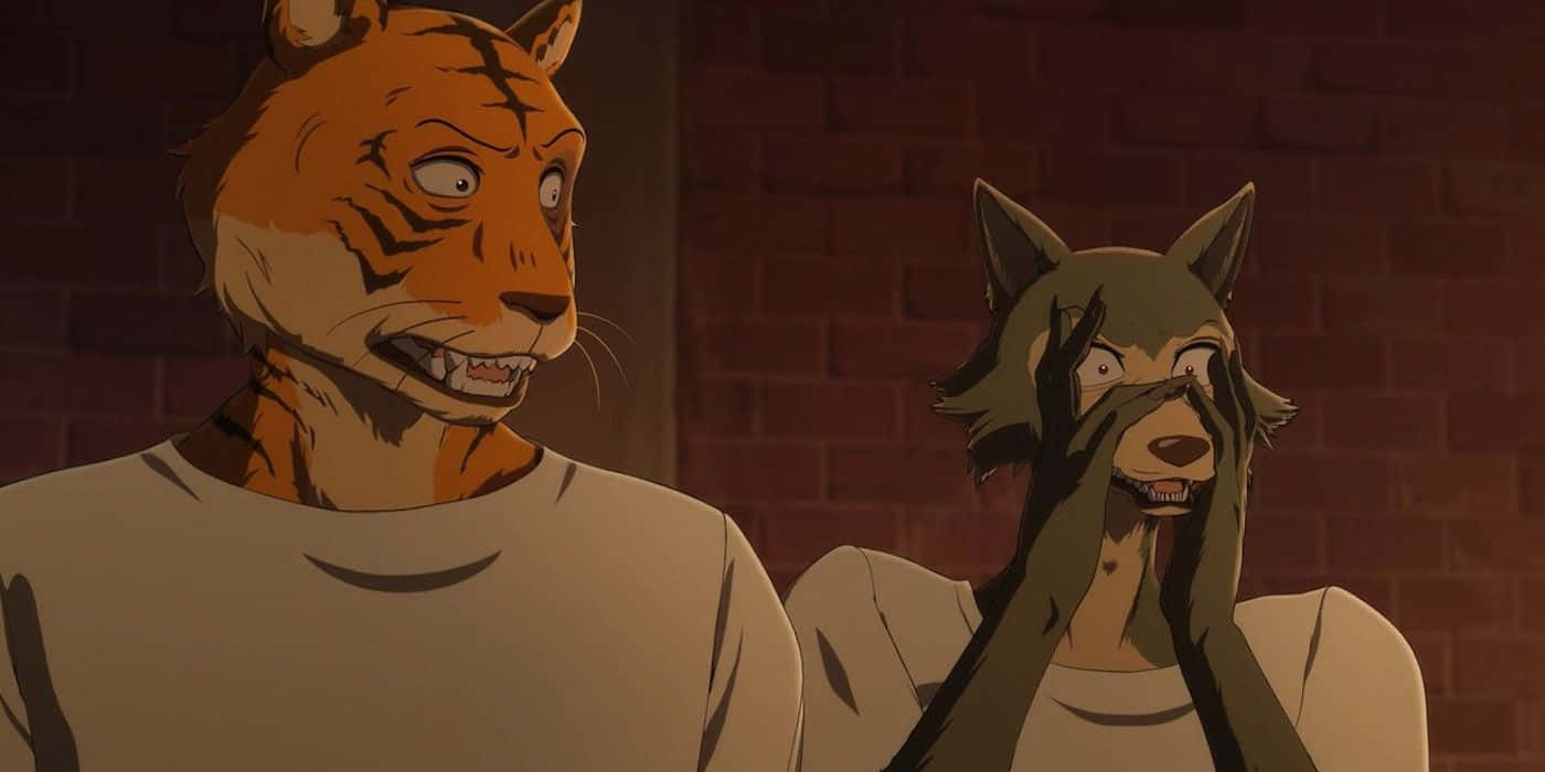 Beastars Bill En Aoba Reactie Achtergrond