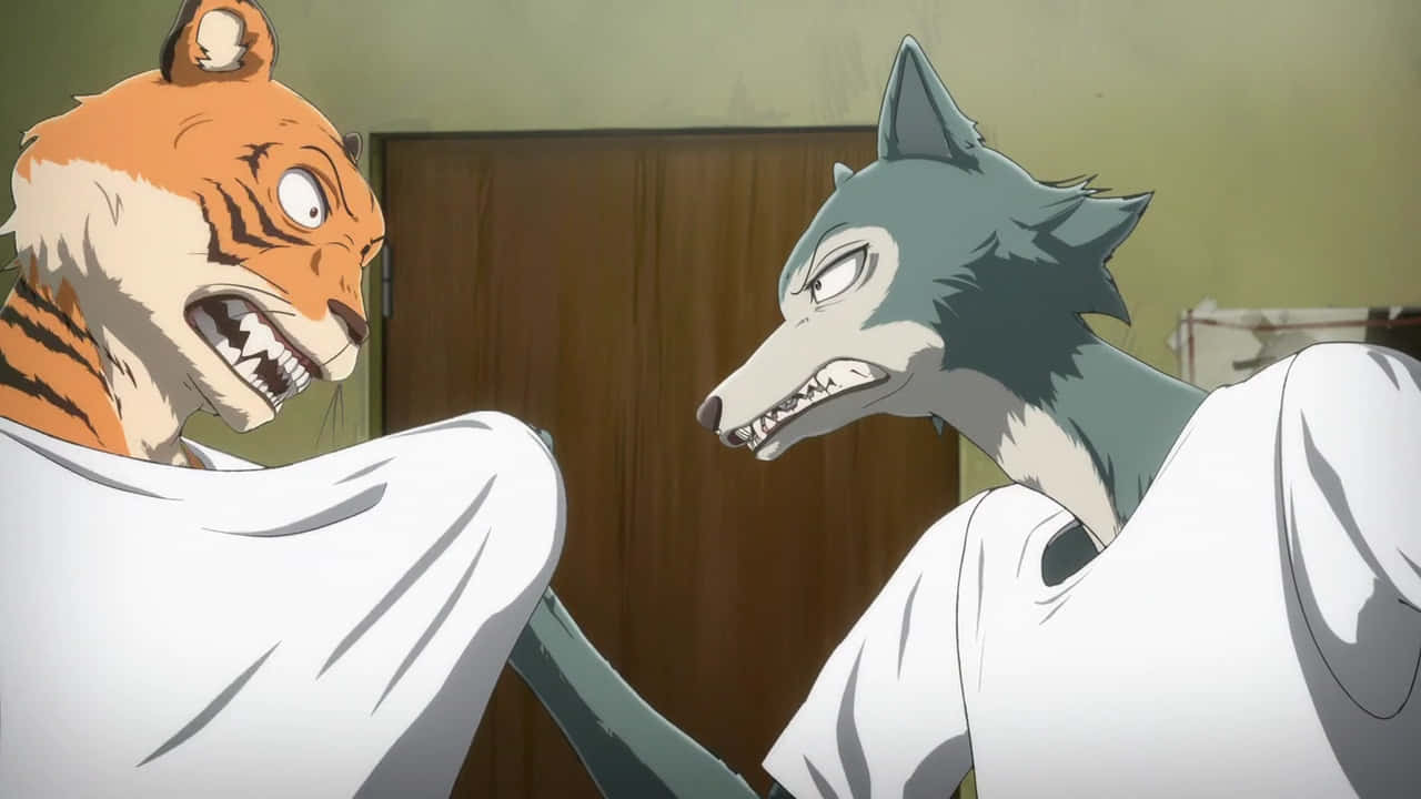 Beastars Bill En Legoshi Confrontatie Achtergrond