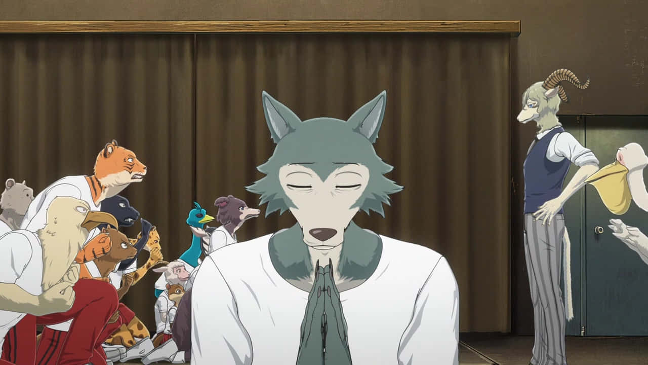 Beastars Personages Achtergrond Drama Achtergrond