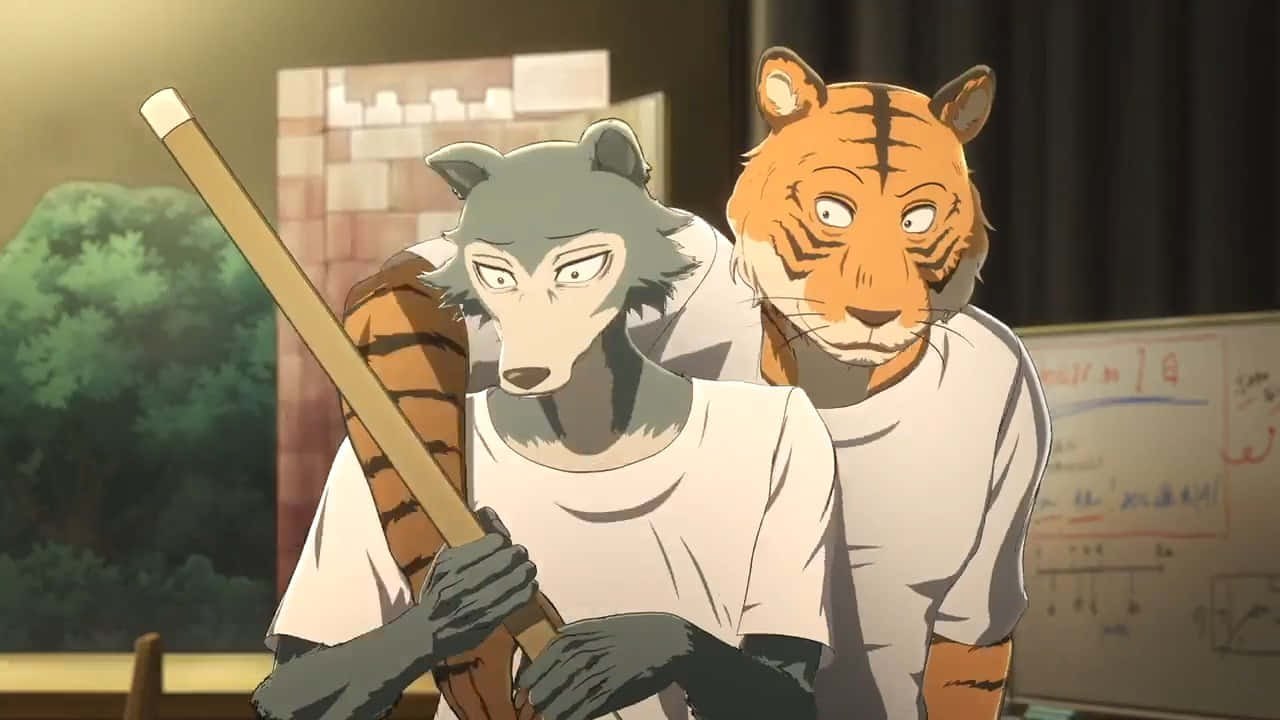 Beastars Grijze Wolf En Tijger Personages Achtergrond