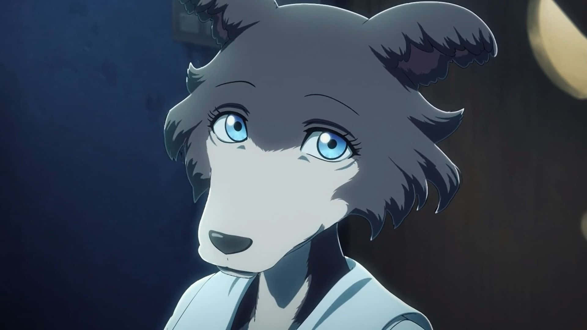 Beastars Juno Personnage Fond d'écran