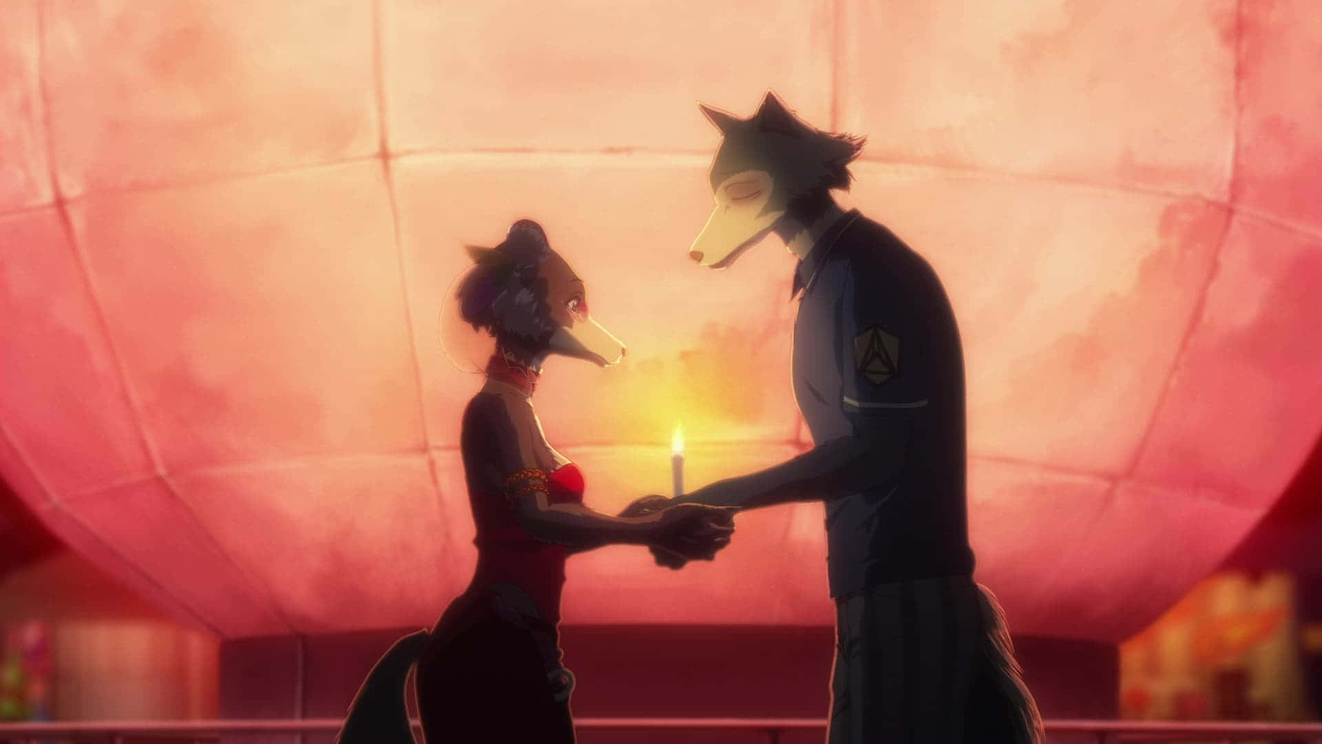 Scène Romantique De Juno Et Legoshi Dans Beastars Fond d'écran