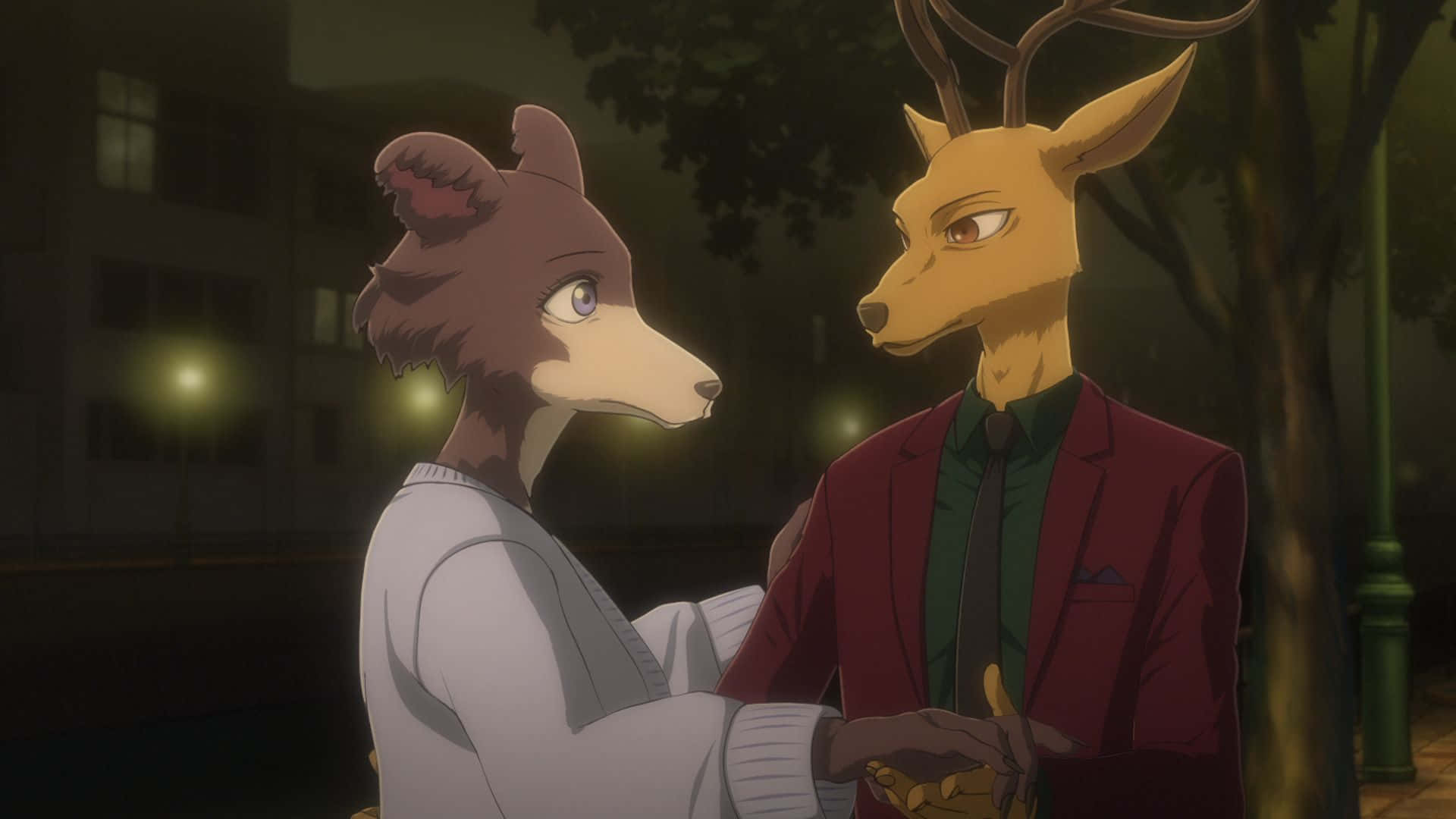 Rencontre Nocturne De Beastars Juno Et Louis Fond d'écran