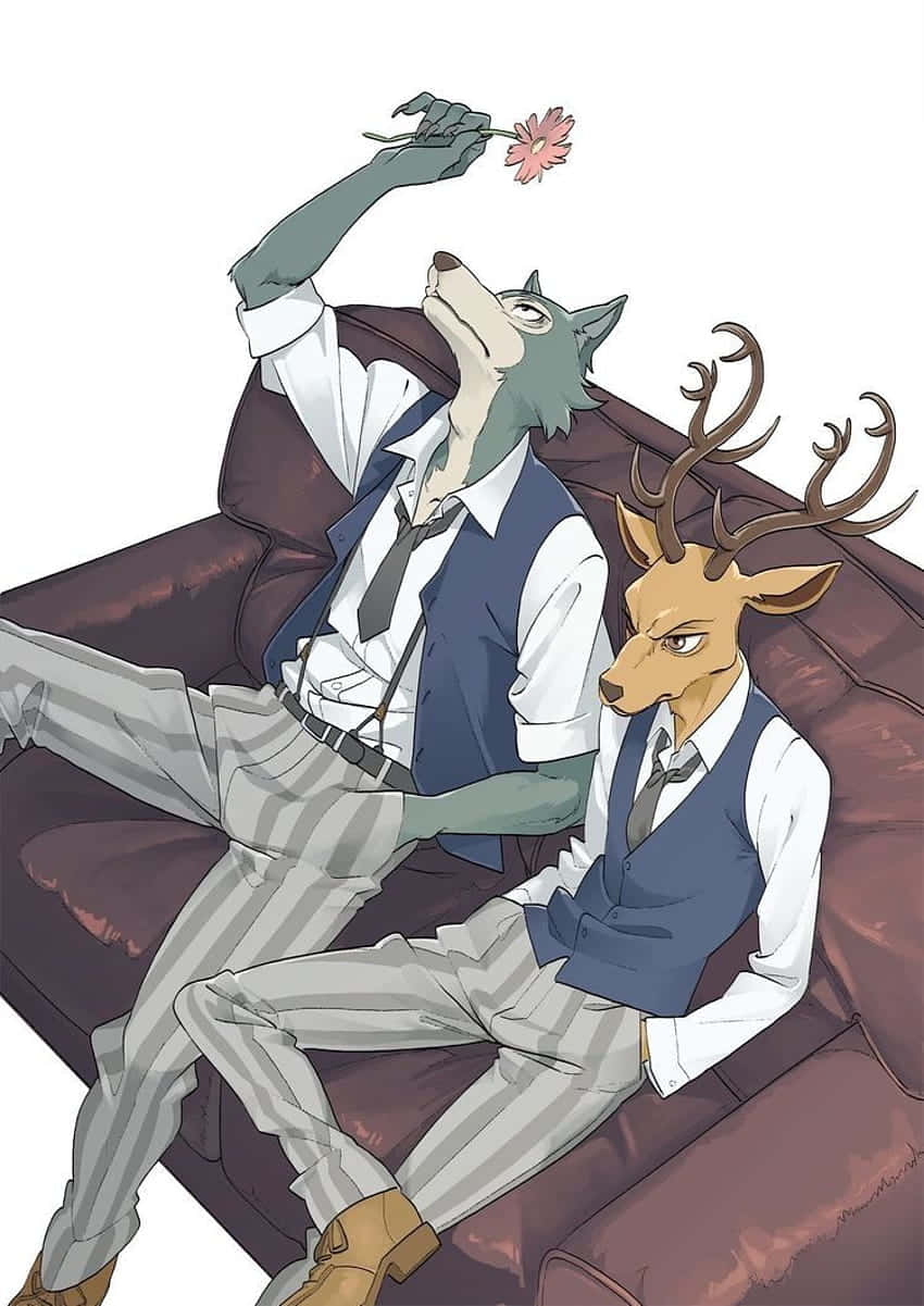 Beastars Legoshi En Louis Ontspanning Achtergrond