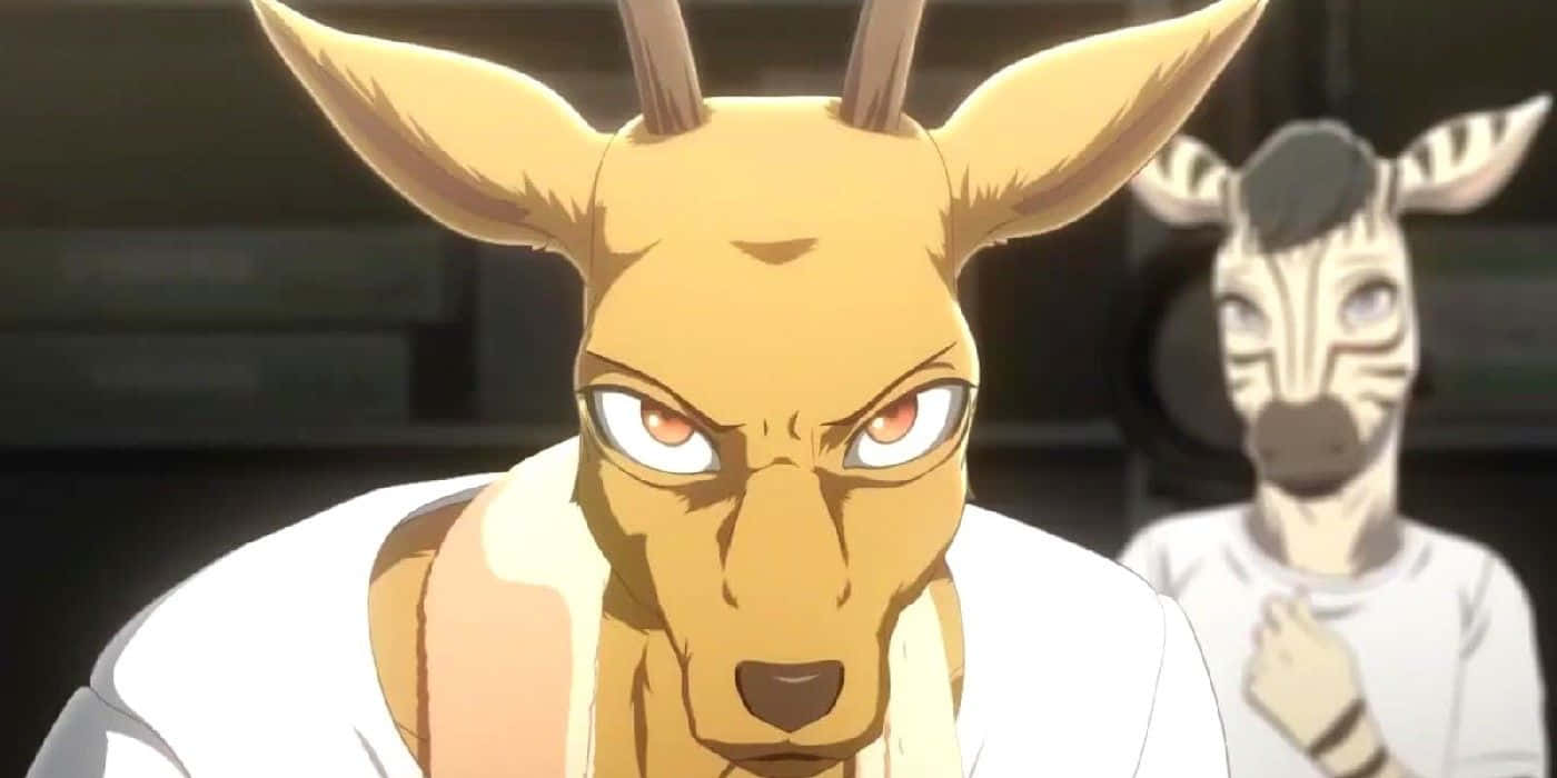 Beastars Louis Intense Kijk Achtergrond