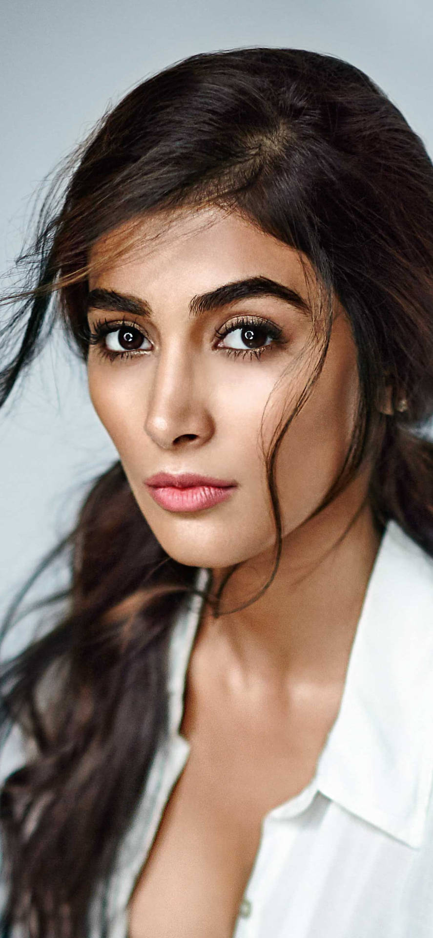 Beautiful Actress Pooja Hedge HD Wallpaper