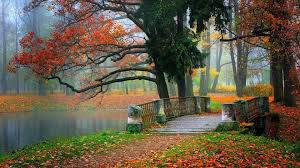 Beautiful Autumn Bridge Pretty Landscape Wallpaper