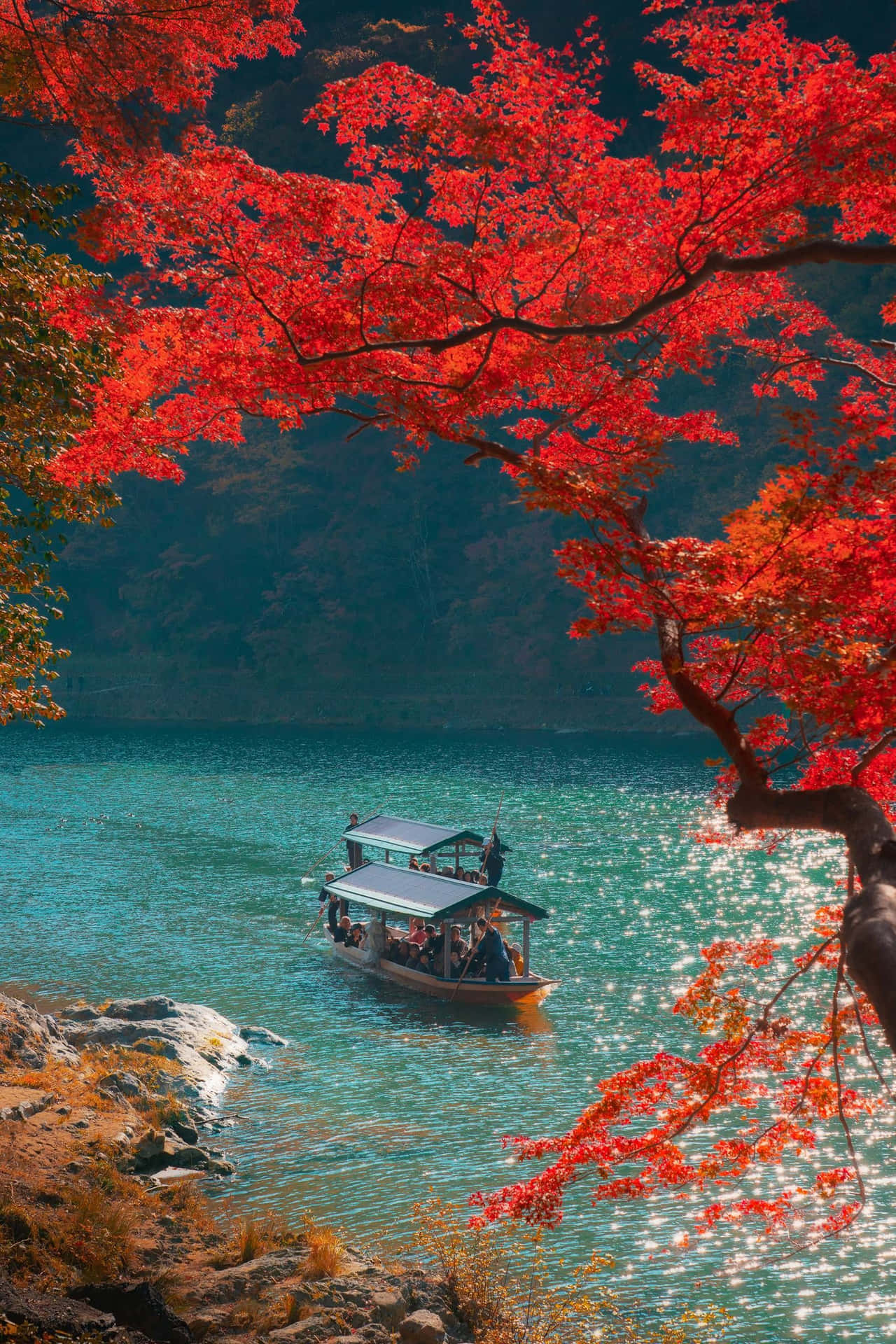 Capture the wondrous beauty of the autumn season.