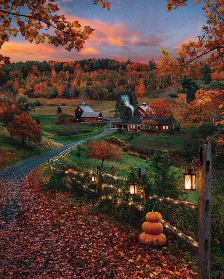 Enjoy the gorgeous colors of autumn