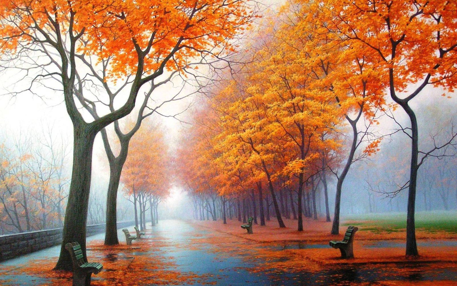 A picturesque view of autumn trees in full blaze of color. Wallpaper