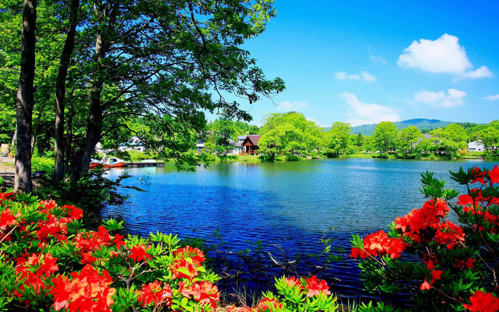 a lake surrounded by red flowers and trees