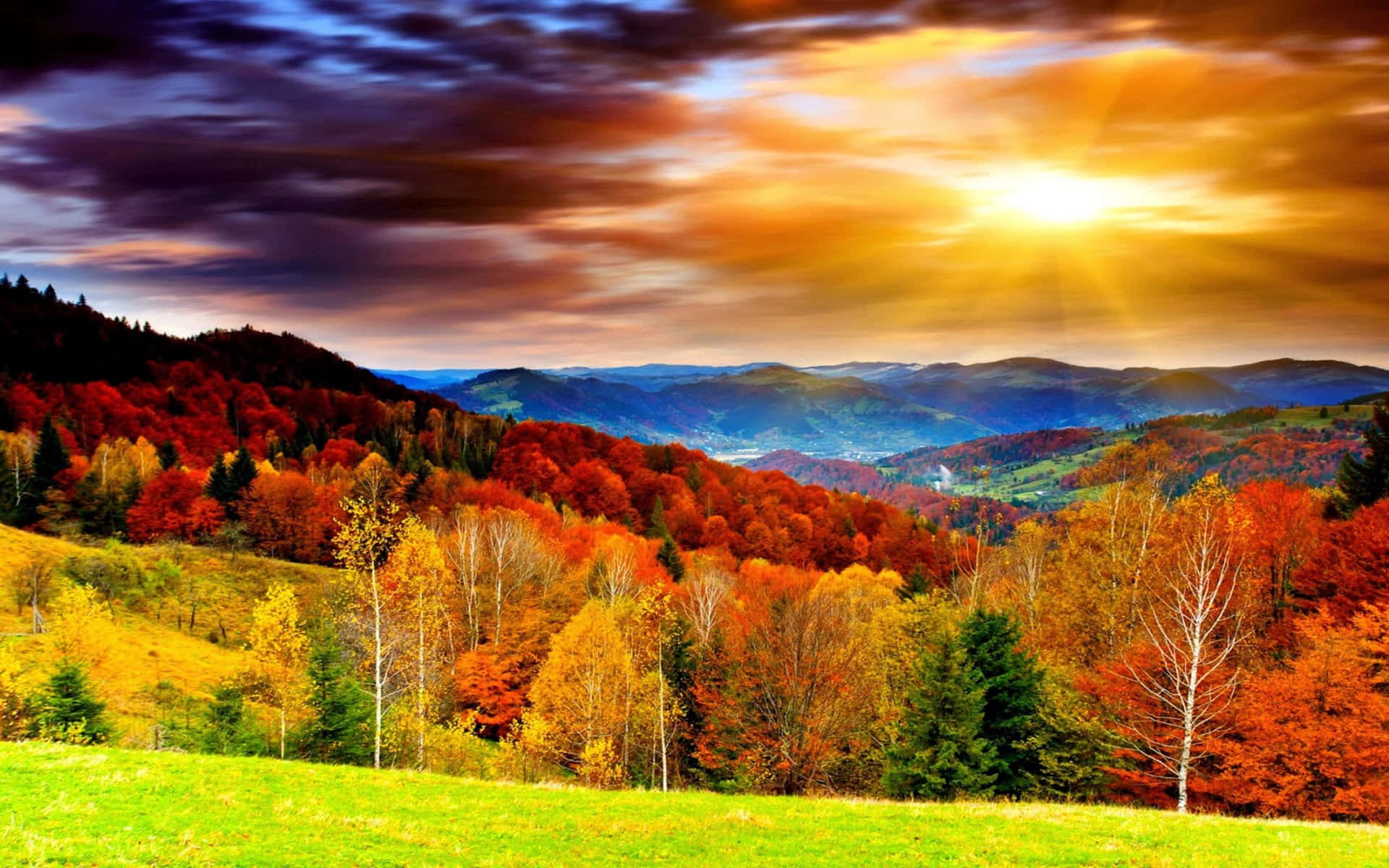Efterårslandskabmed Farvestrålende Træer Og Bjerge