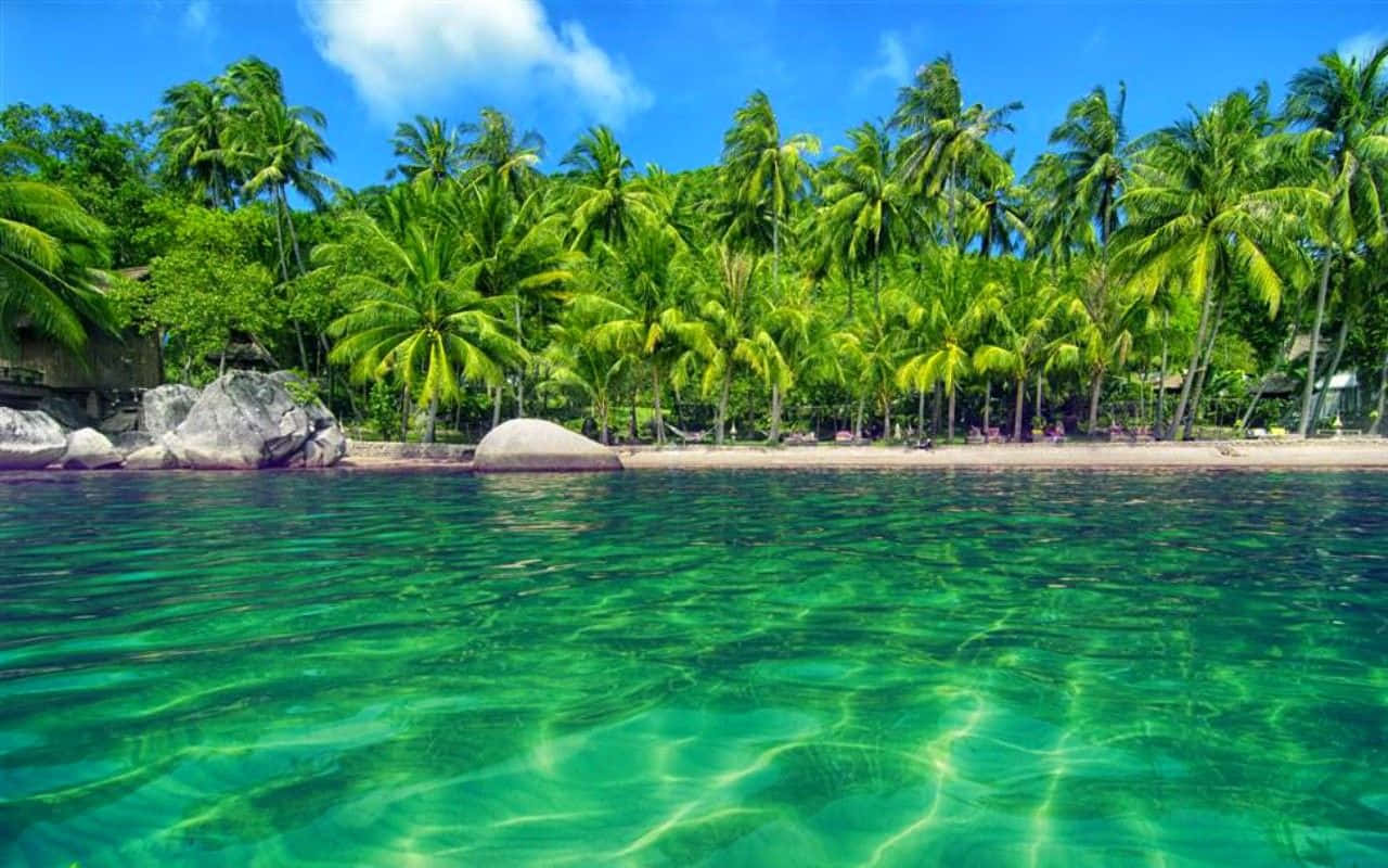 a tropical island with clear water and palm trees
