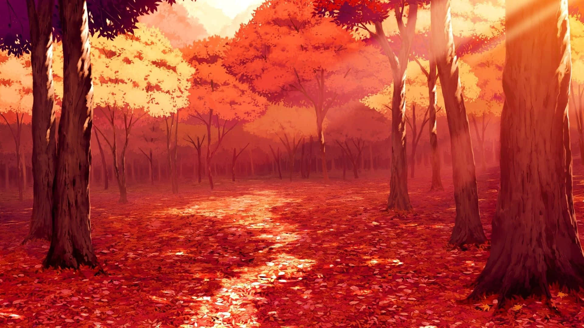a forest with red leaves and sunlight