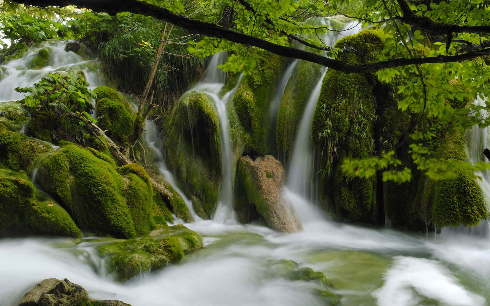 a waterfall in a green forest with mossy rocks