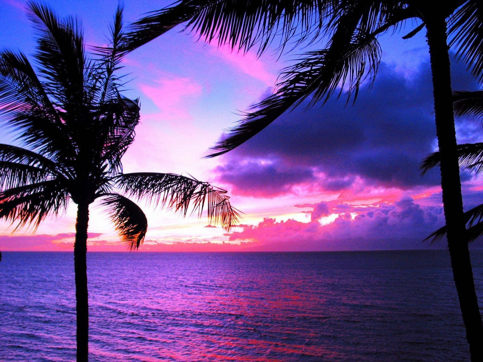 Smuk strand og lilla himmel solnedgang tema Wallpaper