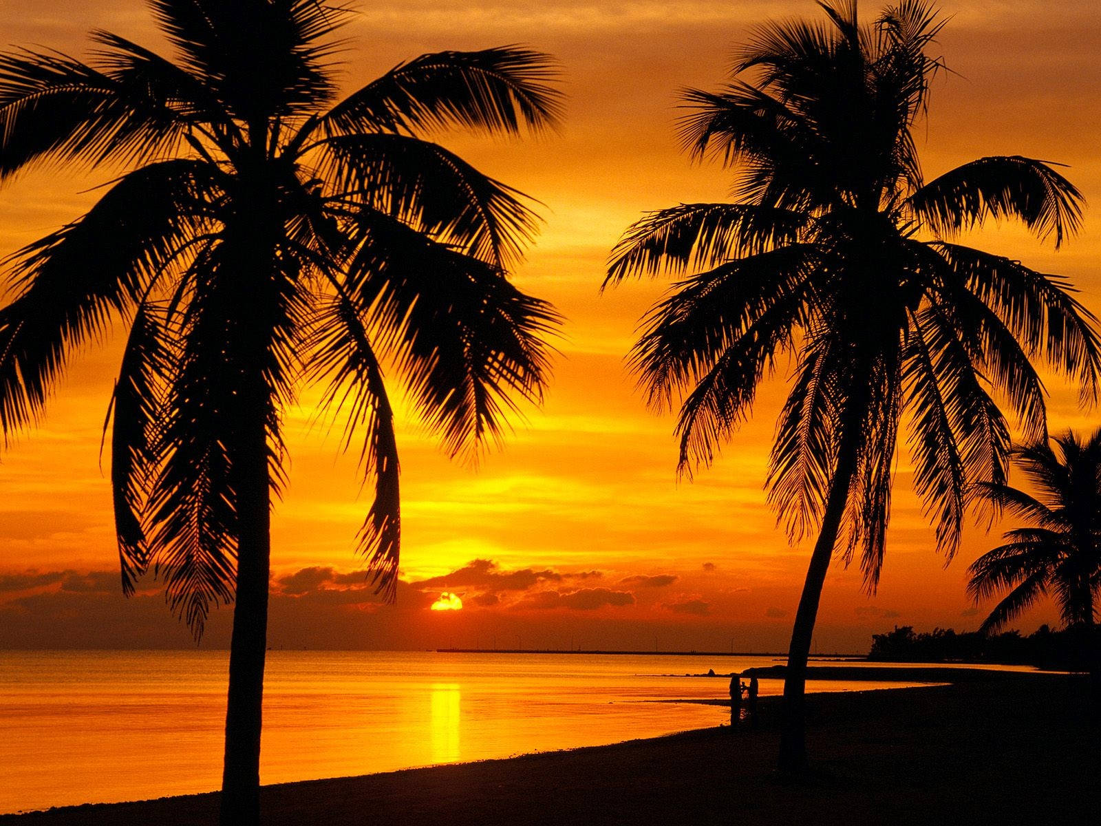 Smuk strand med orange solnedgangs himmel Wallpaper