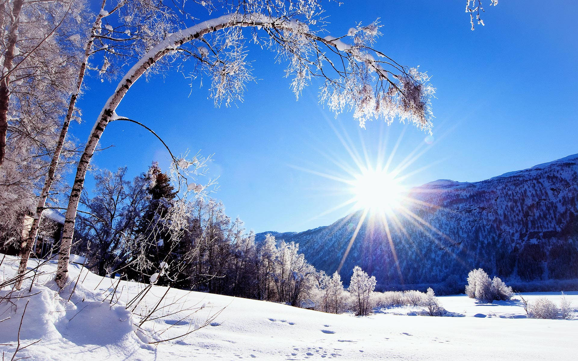 Beautiful Bright Sun Winter Scenery Wallpaper