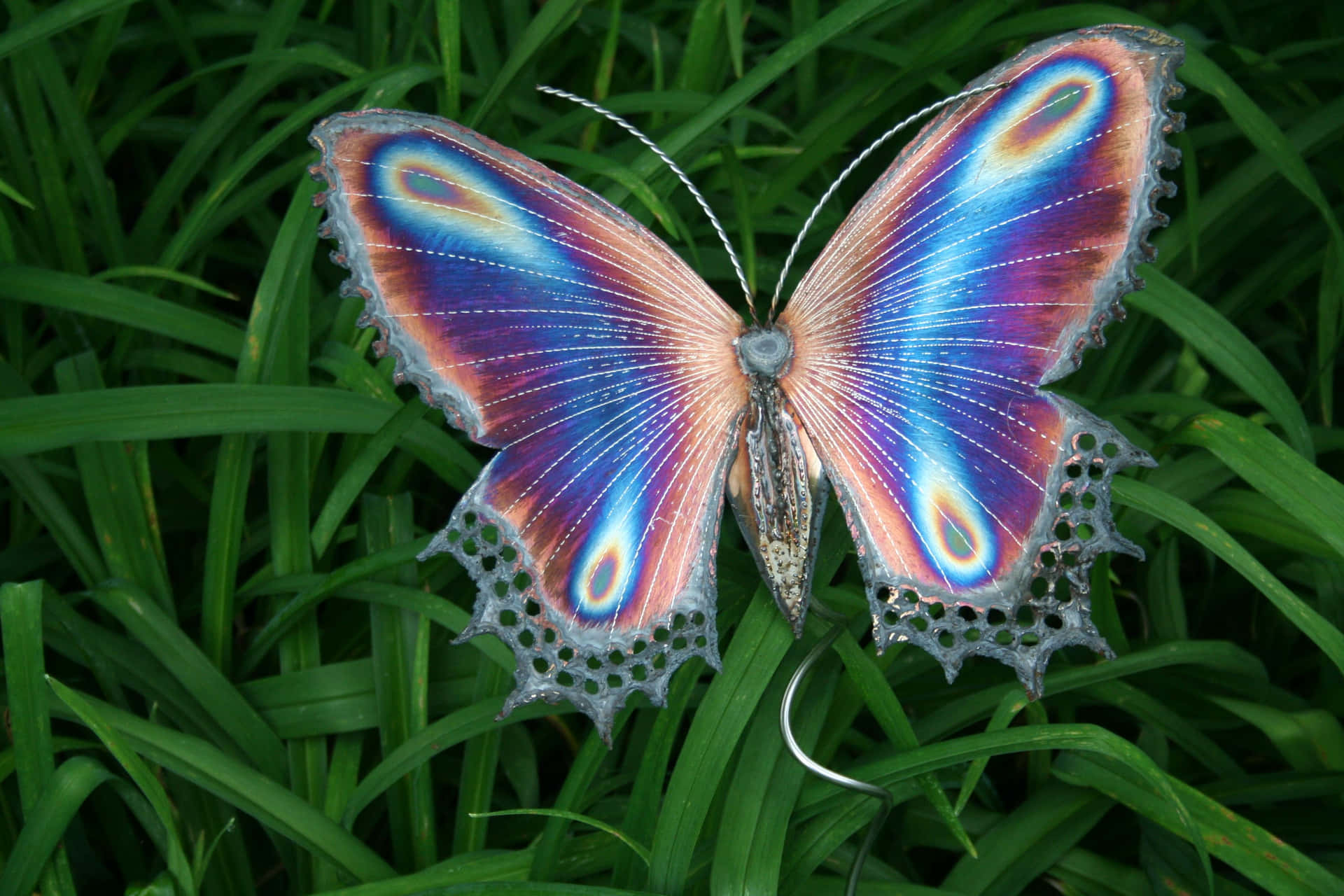 A colorful and beautiful butterfly fluttering by