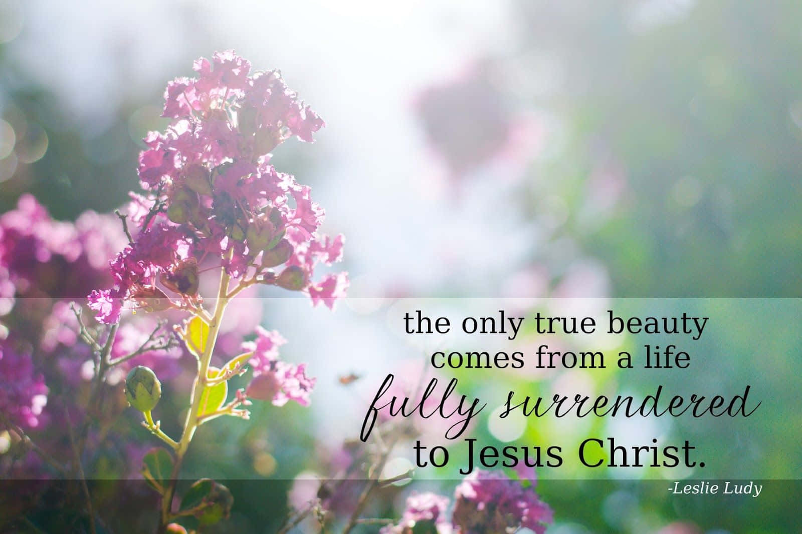 "Experience God’s beauty every day" Wallpaper