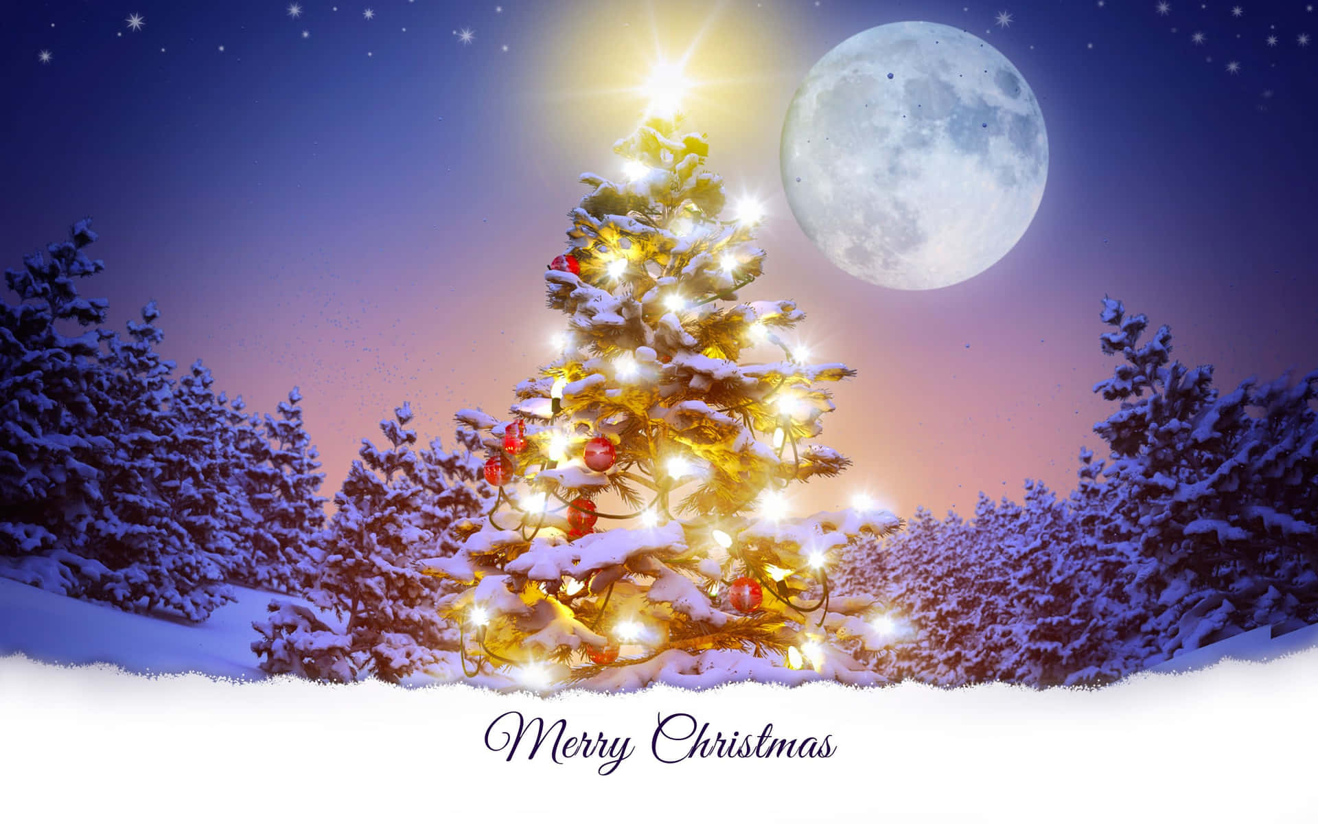 Feiernsie Die Feiertage Mit Einem Schönen Weihnachts-desktop-hintergrund Wallpaper
