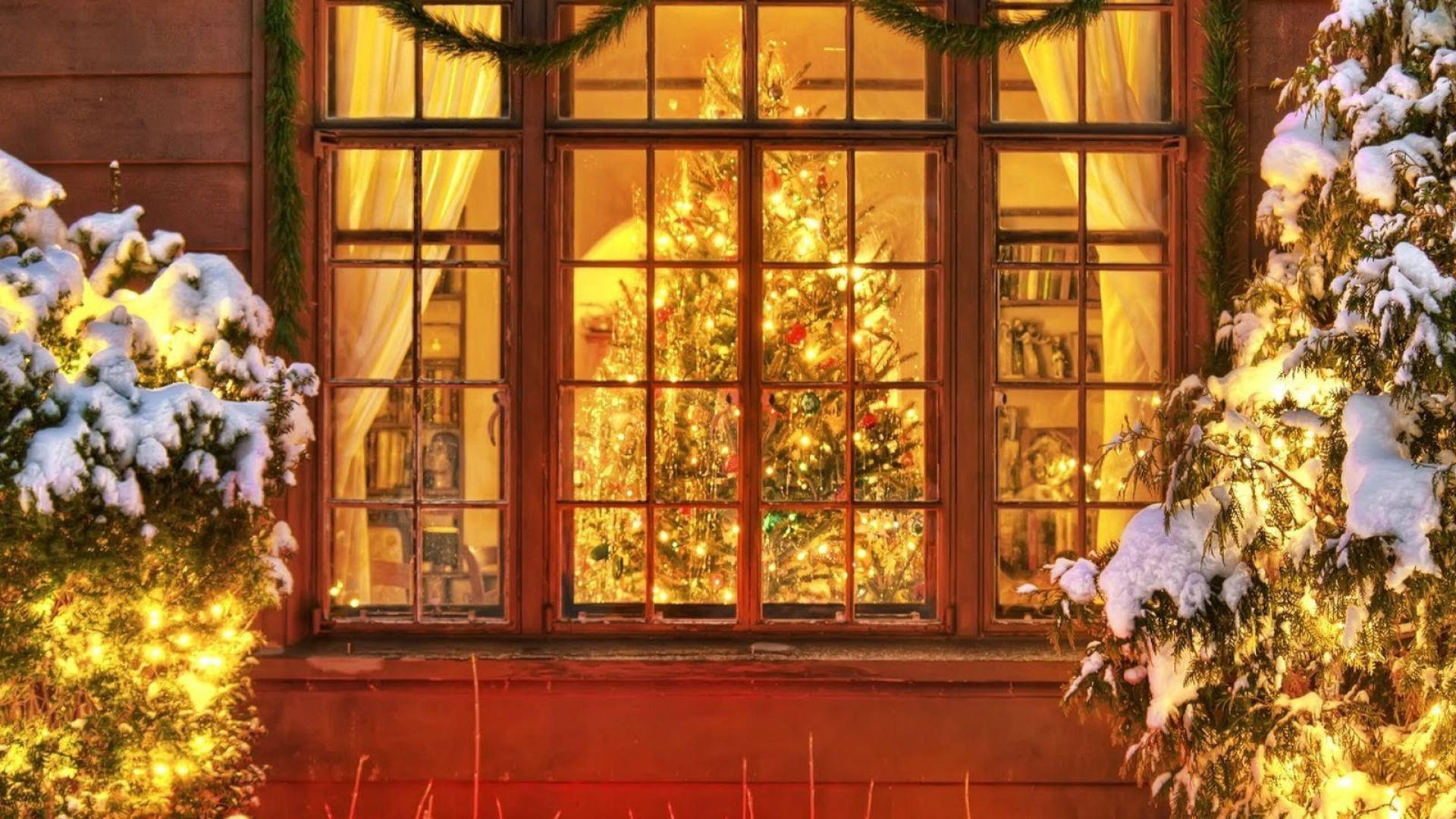 Beautiful Christmas From Outside The Window Wallpaper