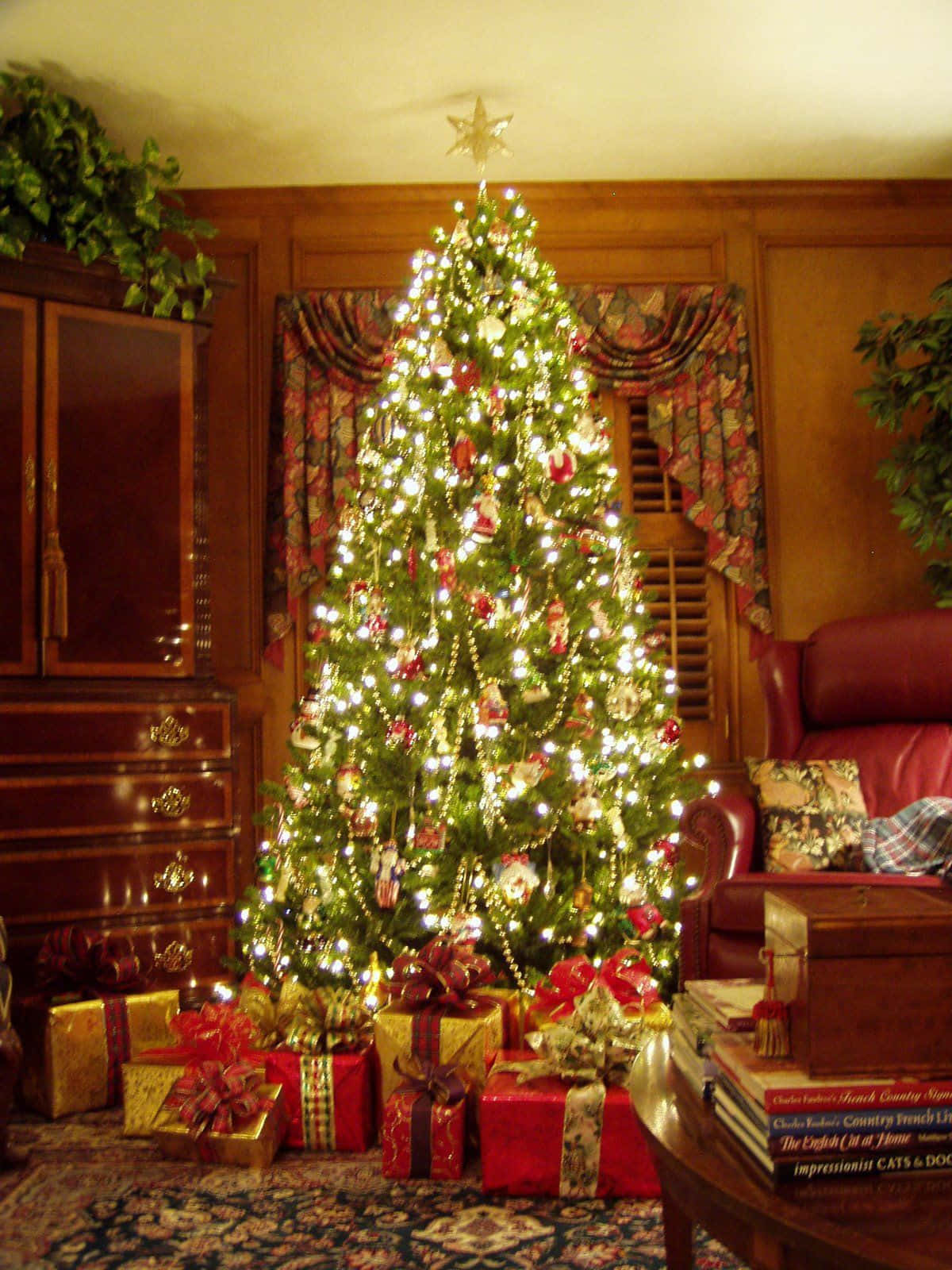 Feel the true spirit of Christmas with a beautiful holiday scene.